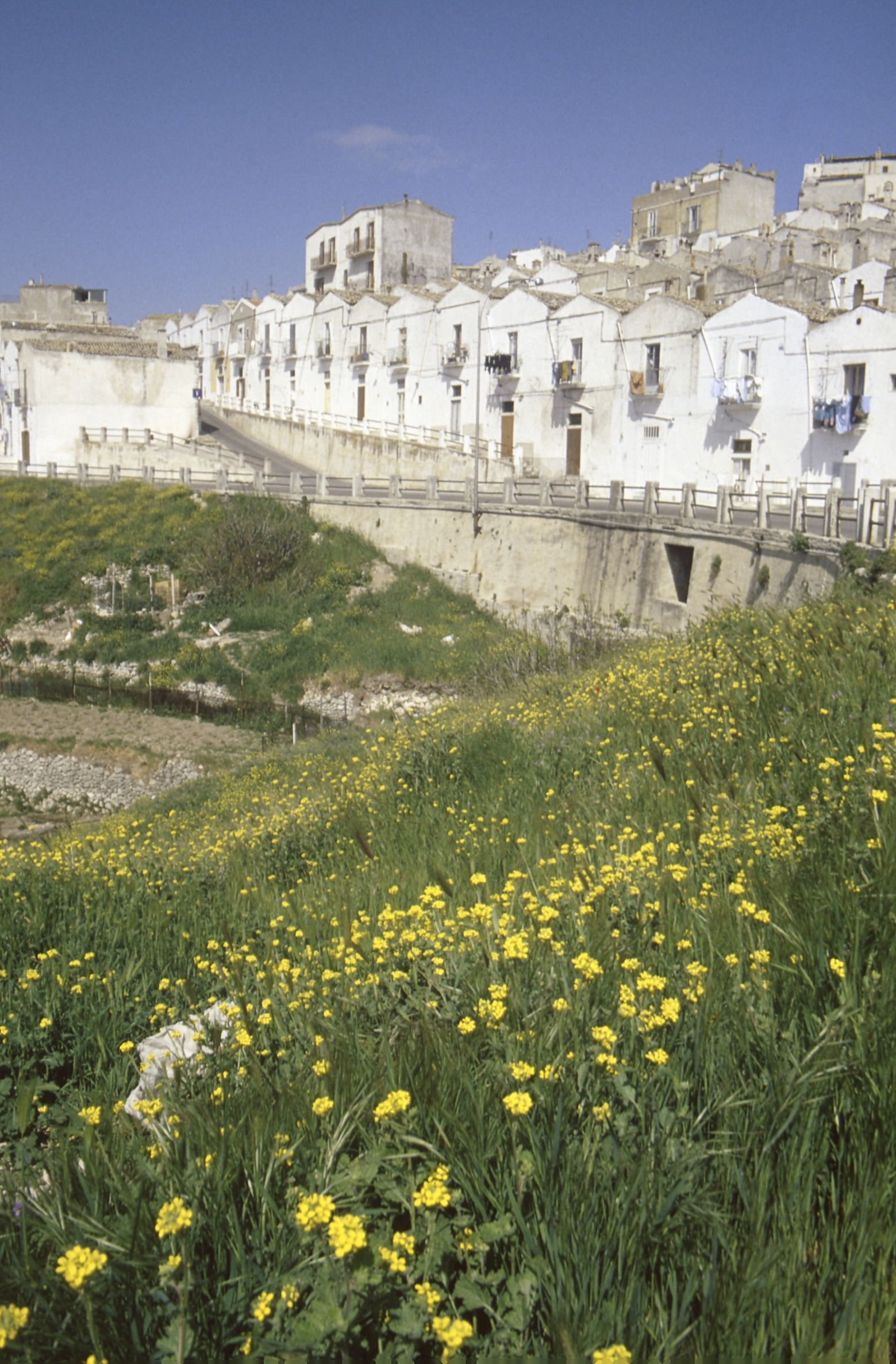 The panorama of Monte Sant'Angelo from below the Carmine church