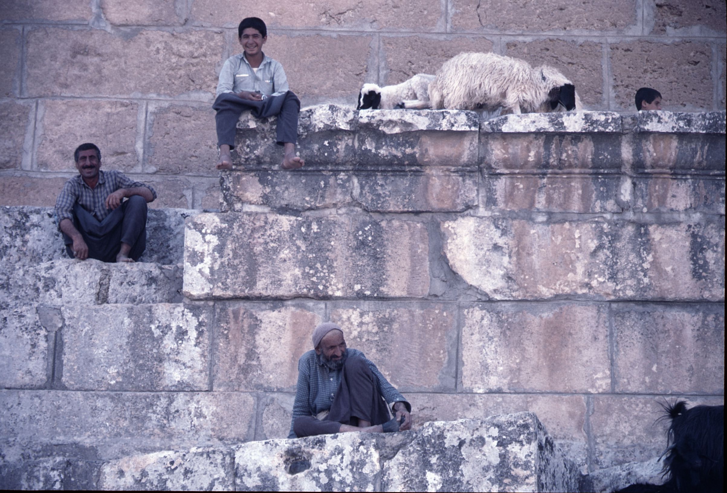 Three people and a sheep in Turkey in 1986